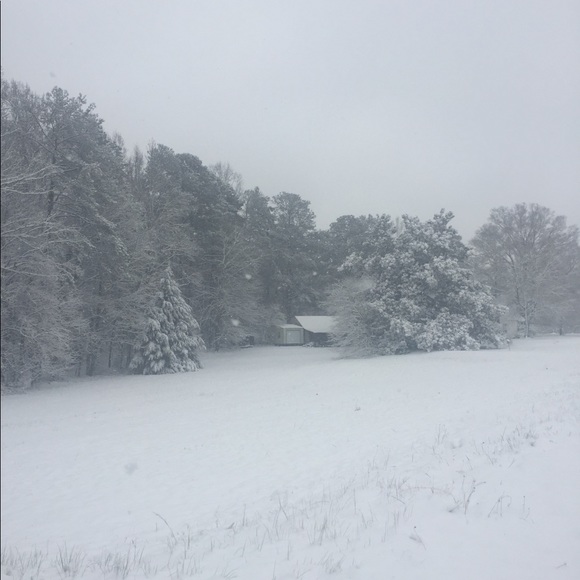 Meet your Posher ππ - Picture 3 of 3